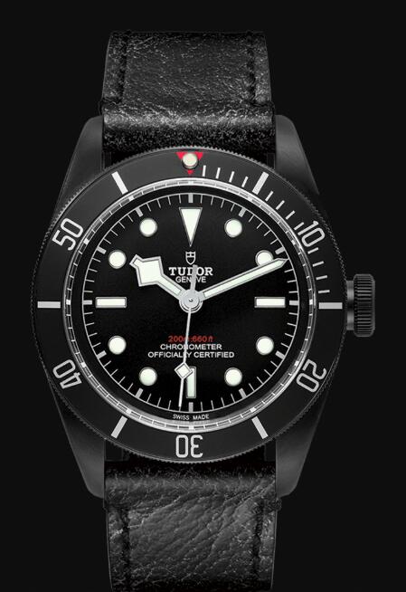 Tudor BLACK BAY DARK M79230DK-0007 Replica Watch